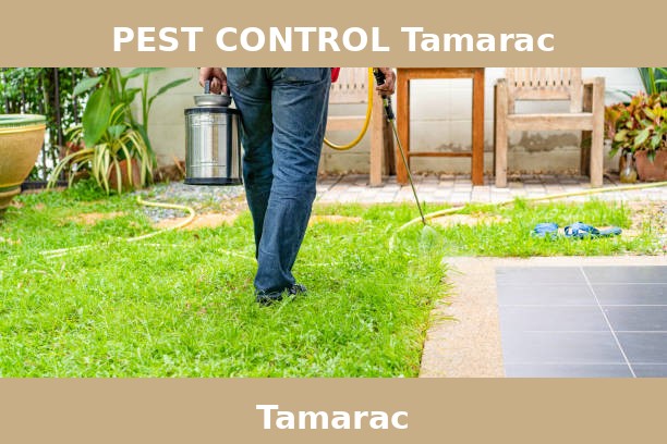 PEST CONTROL Tamarac